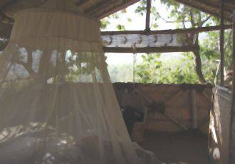Jungle Retreat Resort, Nilagiri 4